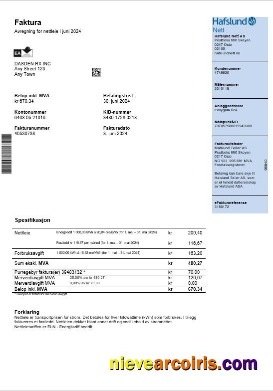Norway Hafslund business utility bill